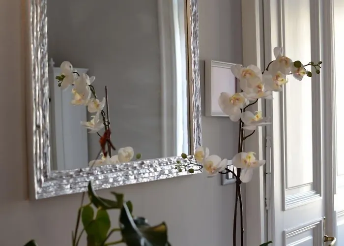 Le Cupole Di Trieszt